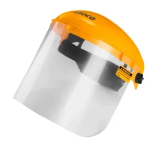 Face shield